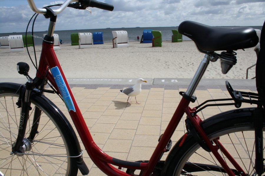 Fahrradfahren auf Föhr