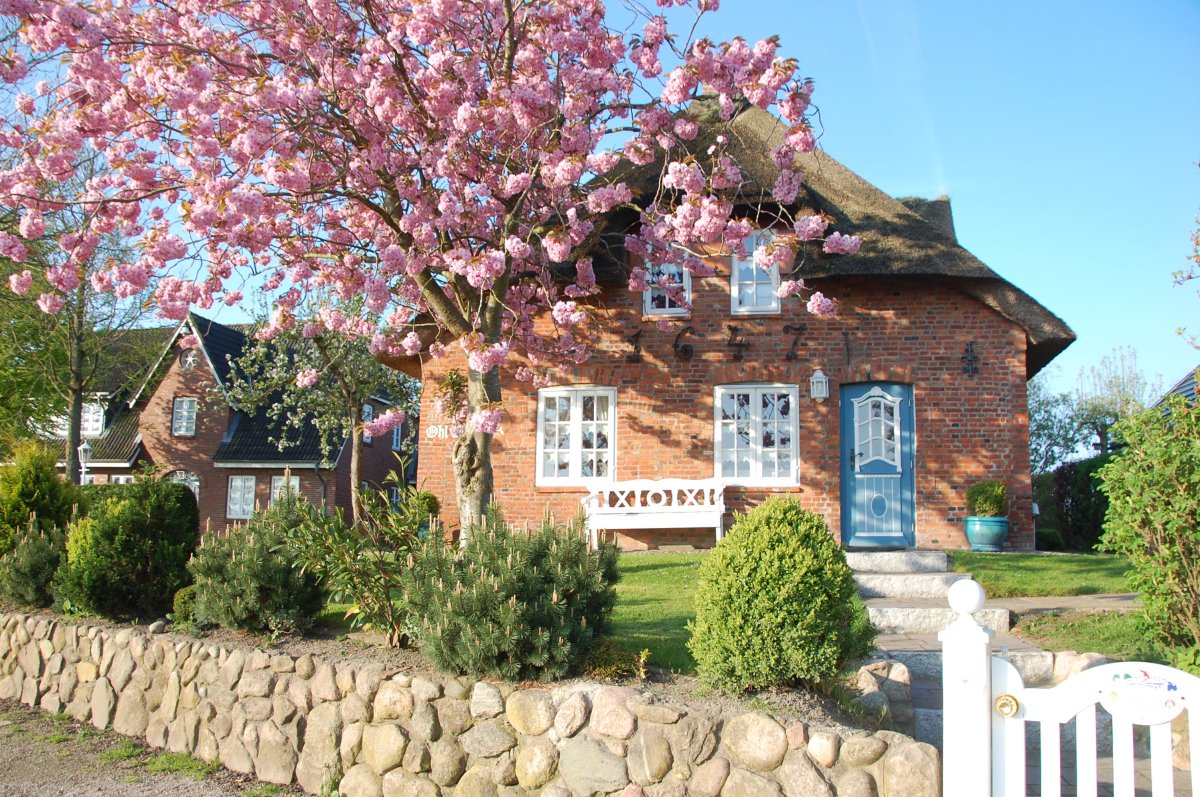 Inselhotel Arfsten