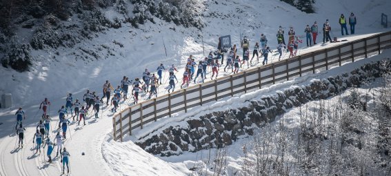 Am WM-Anstieg im Ried