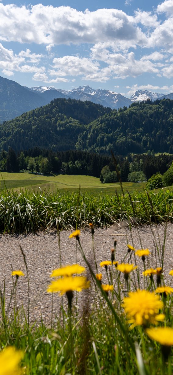 Allgäu