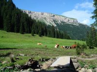 Schwarzwassertal vor Hohen Ifen