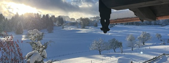 Winter Alpchalet