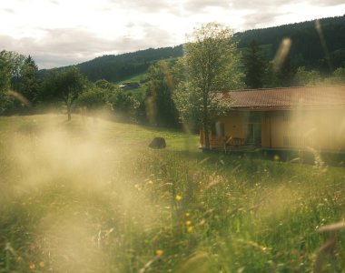 Außenaufnahme Antons | Martin Hehle