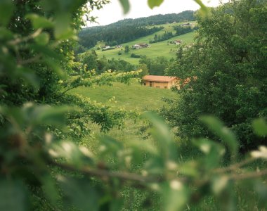 Außenaufnahme Antons | Martin Hehle