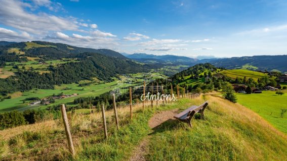 Sommertag Antons Logo