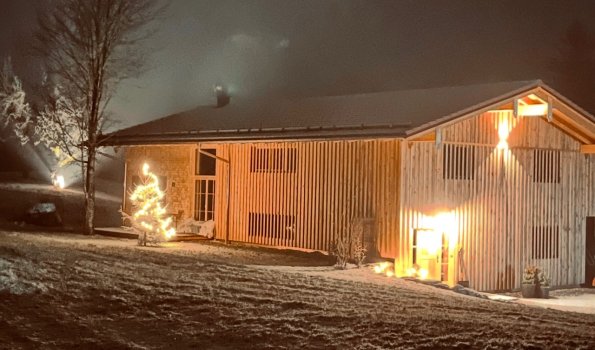 2024 12 ANTONS SCHNEE und Weihnachtsbaum KS IMG 3893