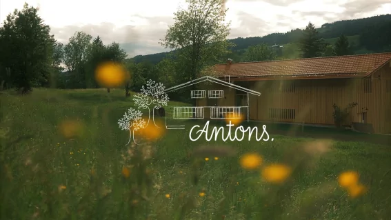 Blumenwiese mit Haus in der Natur Auf einer Wiese blühen gelbe Blumen vor einem Holzhaus unter grauem Himmel. Bäume stehen im Hintergrund.