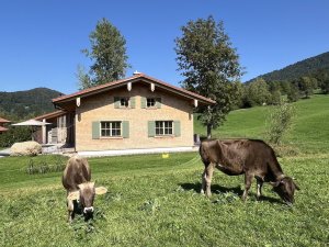 2026 Sommer Antons IMG 0731