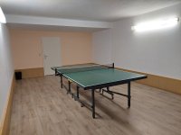 Tischtennis