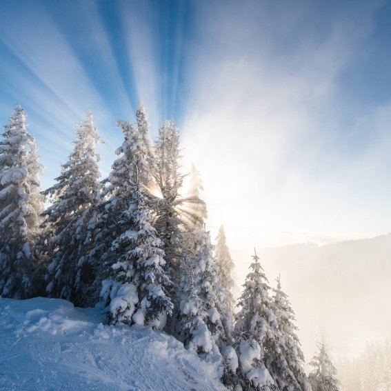20 skigebiet grasgehren riedbergerhorn familienskigebiet skischule allgaeu hoernerdoerfer