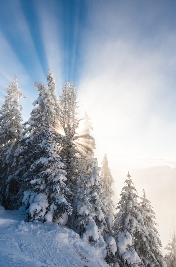 20 skigebiet grasgehren riedbergerhorn familienskigebiet skischule allgaeu hoernerdoerfer