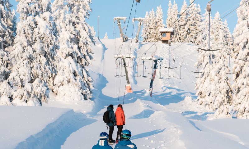 Drei Skifahrer gehen durch den verschneiten Wald zur Seilbahn, um einen aufregenden Skitag zu starten.