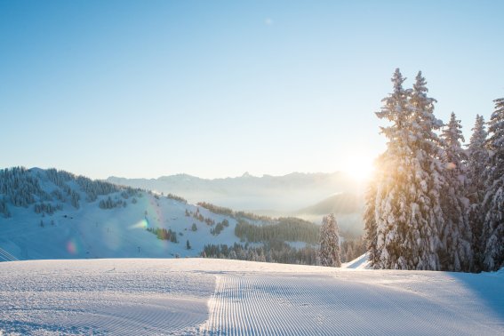 Winterlandschaft mit Sonne und verschneiten Bergen Eine ruhige Winterlandschaft mit schneebedeckten Bäumen, frischem Schnee und strahlendem Sonnenlicht im Hintergrund.