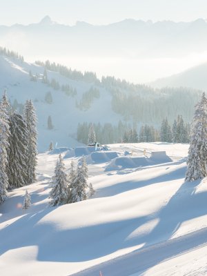 Eine friedliche Winterlandschaft mit schneebedeckten Bäumen und Bergen im Hintergrund an einem sonnigen Tag.