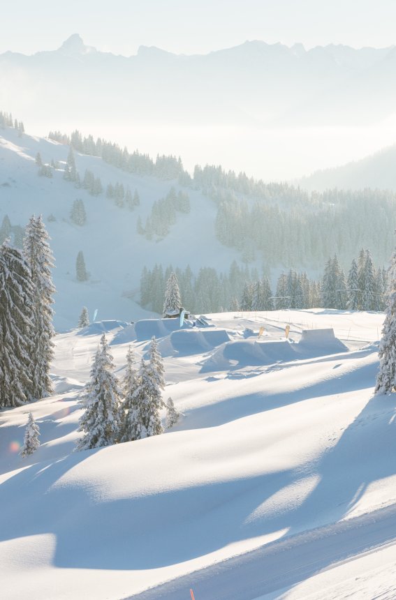 Eine friedliche Winterlandschaft mit schneebedeckten Bäumen und Bergen im Hintergrund an einem sonnigen Tag.