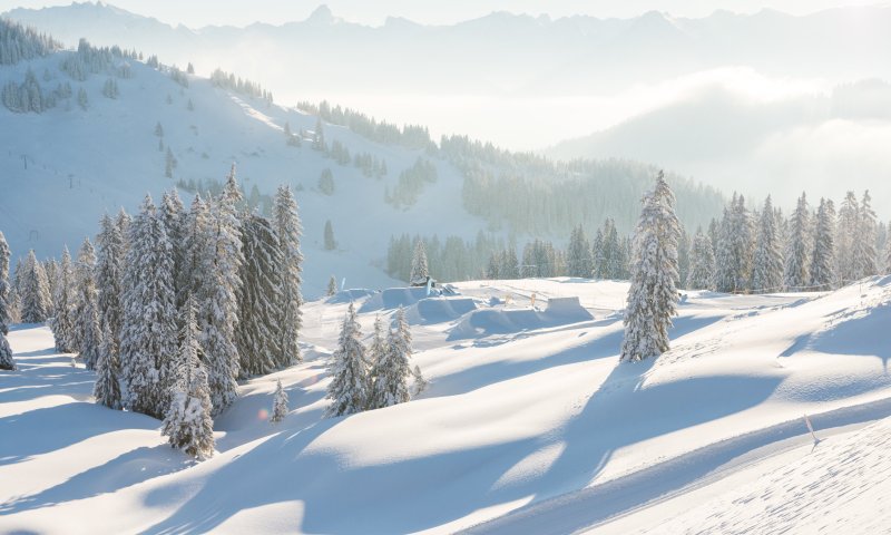 Eine friedliche Winterlandschaft mit schneebedeckten Bäumen und Bergen im Hintergrund an einem sonnigen Tag.