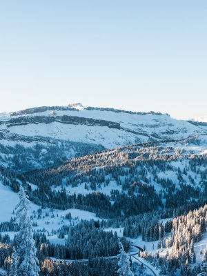 Eine ruhige Winterlandschaft mit schneebedeckten Bergen und Tannenbäumen unter einem klaren blauen Himmel.