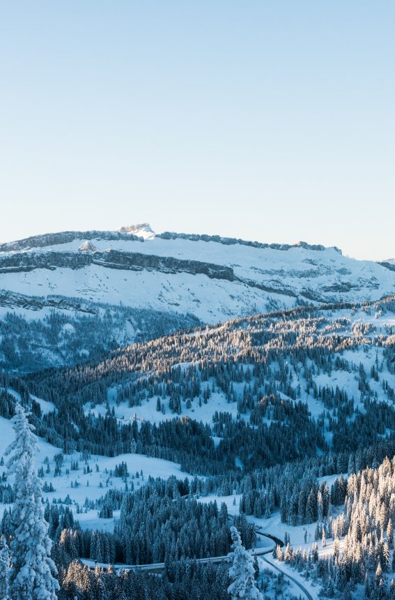 Eine ruhige Winterlandschaft mit schneebedeckten Bergen und Tannenbäumen unter einem klaren blauen Himmel.