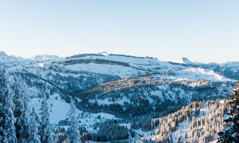 Eine ruhige Winterlandschaft mit schneebedeckten Bergen und Tannenbäumen unter einem klaren blauen Himmel.