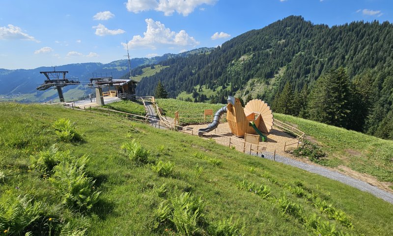 Bergstation Erlebniswelt Raufußhuhn