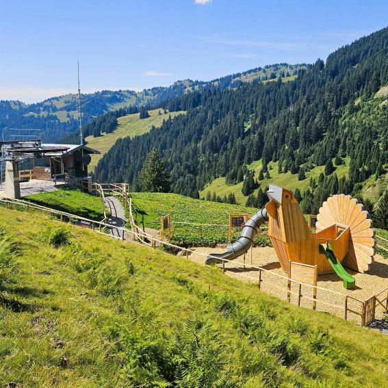 Spielplatz Erlebniswelt Raufußhuhn