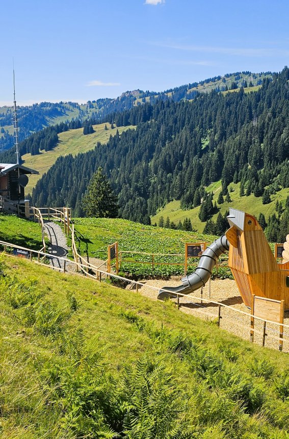 Spielplatz Erlebniswelt Raufußhuhn