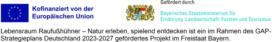 LEADER-Förderlogo_2