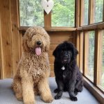Elli mit curly