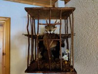 Wolpertinger