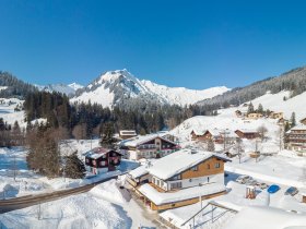 Bergchalet Baad aus der Luft