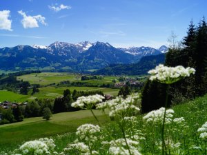 Sommer Berge Oberstorf