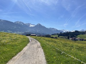 Sommer Spaziergang