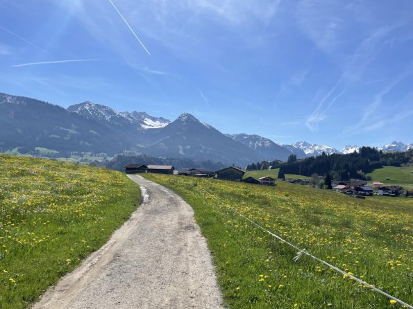 Ein malerischer Wanderweg führt durch blühende Wiesen in den Alpen unter klarem Himmel und schneebedeckten Gipfeln.