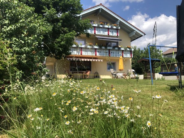 Ein Garten mit Wiese und Blumen umgibt ein gemütliches Haus unter blauen Himmel und Sonne.