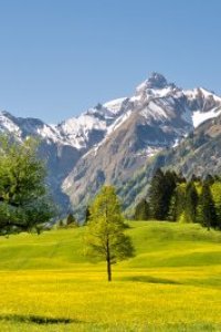 Frühling im Trettachtal