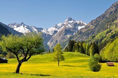 Frühling im Trettachtal