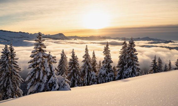 Winter IV