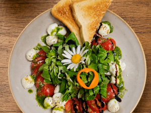 Frühlingssalat Büffelmozzarella Tomate Bärlauchpesto