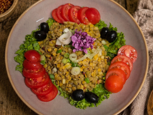Veganer bunter Linsensalat