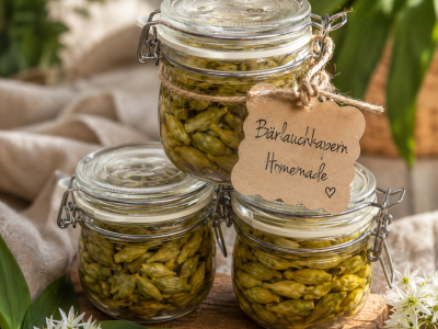 Selbstgemachte Bärlauchkapern