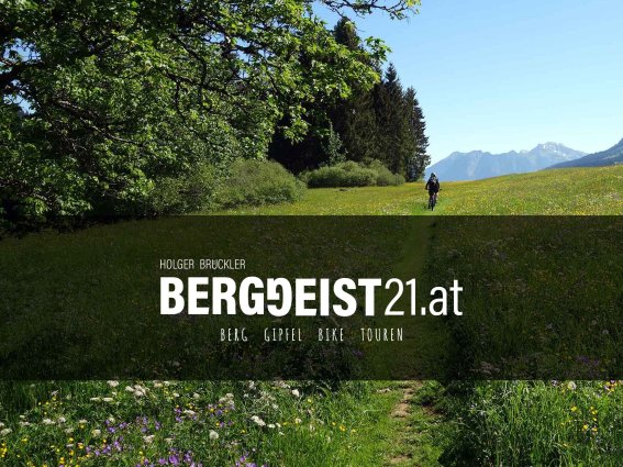 Ein Mountainbiker fährt im Sommer durch einen bewaldeten Pfad in den Alpen, umgeben von Blumen und Bergen im Hintergrund.