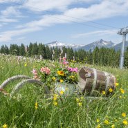 Natur pur direkt vor der Haustür