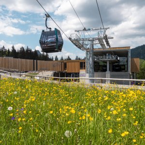Die neue Talstation (1)