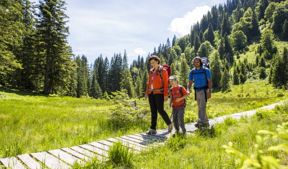 Wanderung durch das Hühnermoosmoor