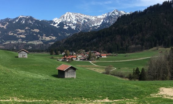 Ried Frühling