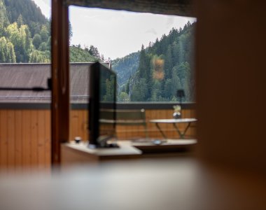 Durchblick aus dem Wohnraum mit Fernseher auf Balkon, bewaldete Berghänge und Himmel – Bergheimat Ferienwohnungen in Obermaiselstein-Ried im Allgäu.