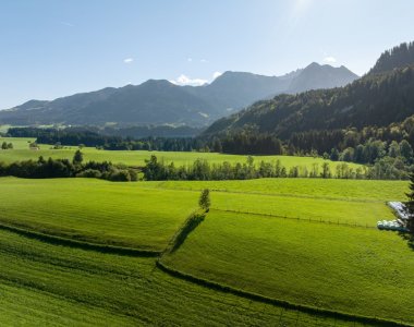 Weite, sattgrüne Wiesen und Wälder bei Obermaiselstein-Ried im Oberallgäu, im Hintergrund die Gipfel der Allgäuer Alpen unter blauem Himmel – ideale Wander- und Radregion rund um die Bergheimat Ferienwohnungen.