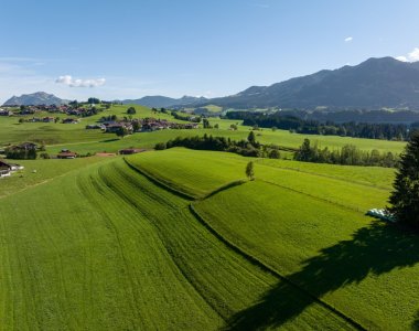 Drohnenaufnahme sattgrüner Wiesen bei Obermaiselstein-Ried im Oberallgäu mit Blick auf die Allgäuer Alpen an einem sonnigen Sommertag – die Umgebung der Bergheimat Ferienwohnungen.