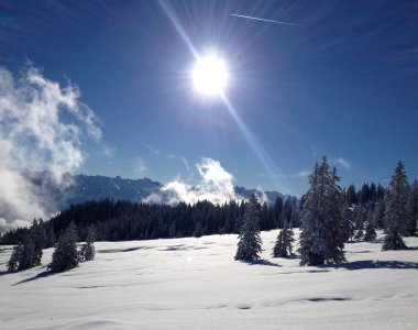 Tief verschneite Landschaft mit Tannen und strahlender Sonne – Winterwandern im Allgäu – Bergheimat Ferienwohnungen in Obermaiselstein-Ried im Allgäu.