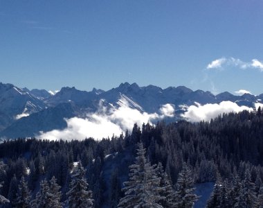 Verschneiter Bergwald und Wolkenmeer vor den Gipfeln der Allgäuer Alpen – Bergheimat Ferienwohnungen in Obermaiselstein-Ried im Allgäu.